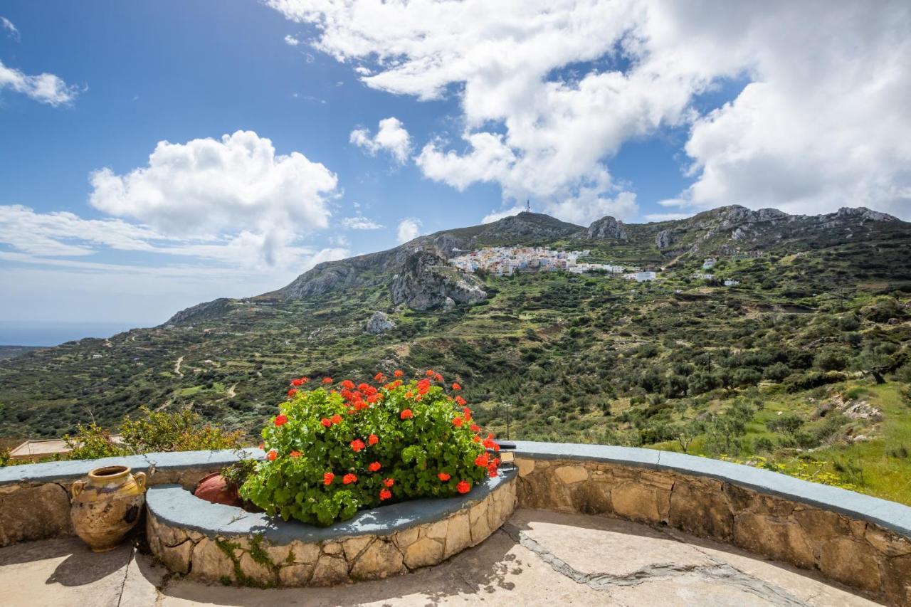 Olive Grove Cottage Menetai ภายนอก รูปภาพ